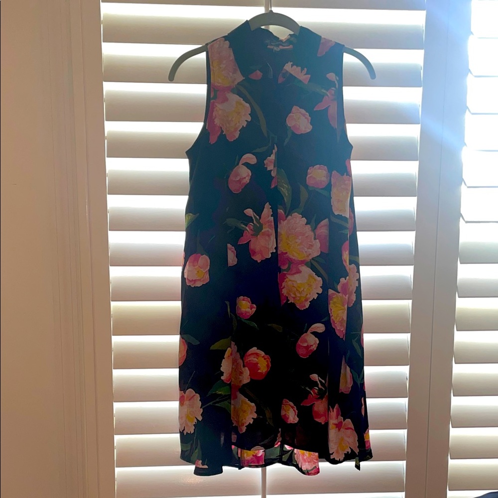 Adrianna Papell Floral Sleeveless Swing Dress